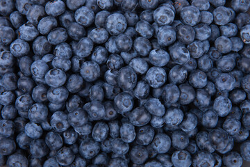 Fresh ripe blueberries isolated on white background. Organic blueberry fruit, healthy superfood. Sweet berry collection, full depth of field, clipping path. Fruit slices on a white background. © Avocado_studio