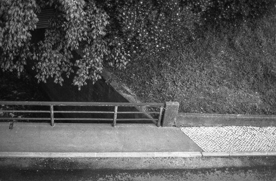 Sidewalk Above Greenery
