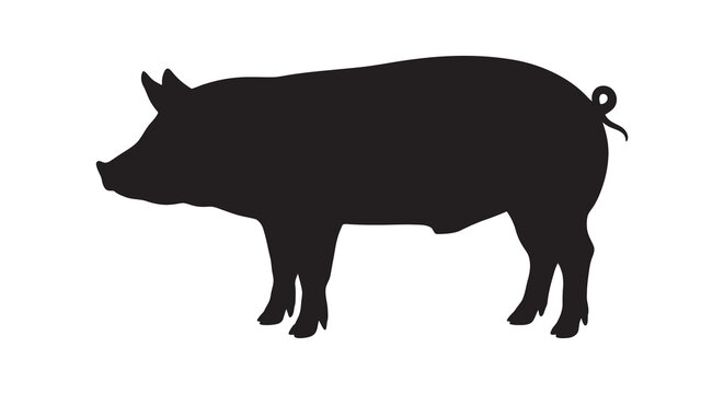 Pig Silhouette Against A White Background Silhouette