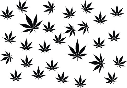 Cannabis leaf pattern black silhouette marijuana leaves on white background