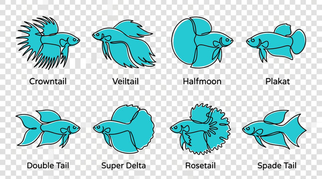 Betta fish varieties including crowntail, veiltail, halfmoon, plakat, double tail, super delta, rosetail, and spade tail are shown as a collection of icons.