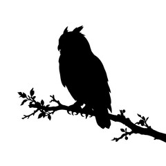 Fototapeta premium Owl silhouette, black bird, perched on branch, wildlife icon, nocturnal animal