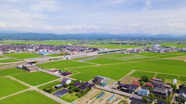【ドローン空撮・緩やかな上昇】夏の青空と青々とした水田が広がる加賀平野の田園風景と街並み（石川県小松市北部） / Aerial Drone Shot Rising Slowly over Lush Green Rice Fields and Rural Townscape in Kaga Plain, Komatsu City, Ishikawa Prefecture, Japan in Summ