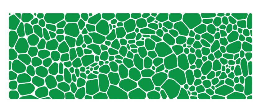 Modern abstract green organic cellular pattern, Reptile skin or crocodile squama, snake scale pattern, Structure of plant cells or classic stonework, landscape design or biotechnology