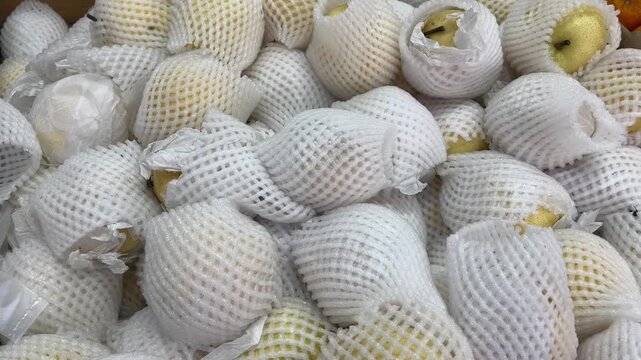 Fresh pears wrapped in protective foam mesh netting