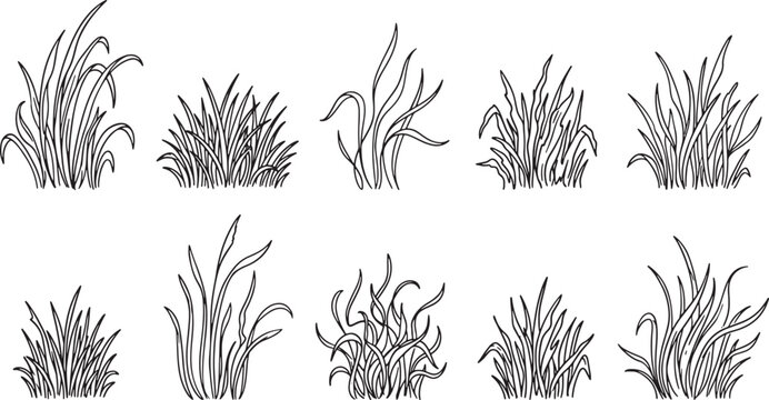 Hand drawn grass tufts collection isolated on white background as black and white ink sketch vector illustration