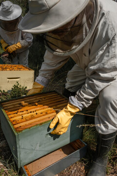 Beekeeper lifting beehive box while partner uses bee smoker