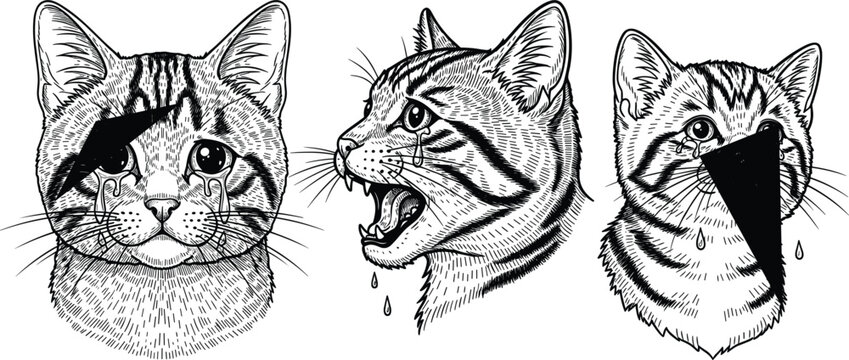 Hand Drawn Engraving Style Cat Tattoo Vector Design Set Featuring Domestic Feline Portraits with Hissing Expression and Geometric Surreal Elements