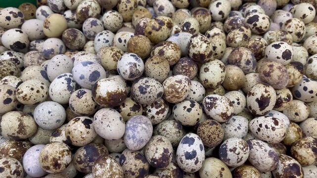 Fresh raw quail eggs heap at local market close up