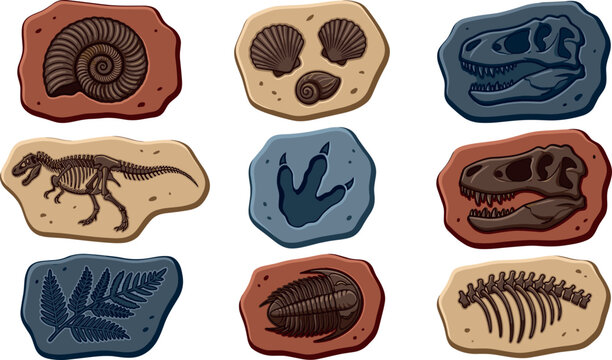 Prehistoric Dinosaur Fossil Vector Icon Set with Ancient Bones Trilobite Ammonite Shells Footprint and Skull Artifacts for Paleontology Museum Educational Designs