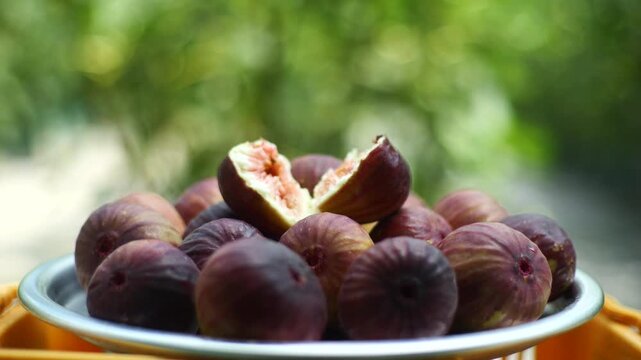 Fig slice fresh fruit farming harvesting agriculture food ingredient k fruit 영암 무화과 과일 조각 신선 농사 재배 수확 농업 한국 식재료 디저트 식품 가을 과육