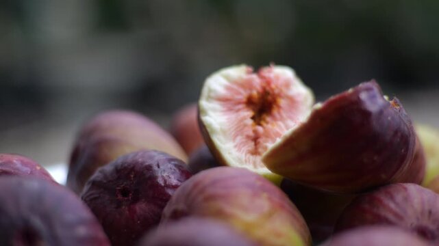 Fig slice fresh fruit farming harvesting agriculture food ingredient k fruit 영암 무화과 과일 조각 신선 농사 재배 수확 농업 한국 식재료 디저트 식품 가을 과육