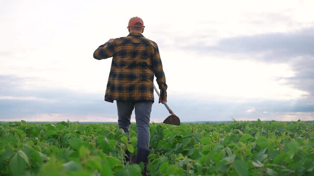 A man is working in a soybean field, actively tending to the growing plants. The farmer navigates through the rows, focused on agriculture tasks.