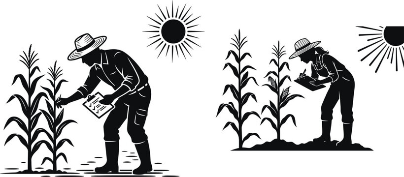 Hot weather vector farmers inspecting cornfield under sun black and white illustration