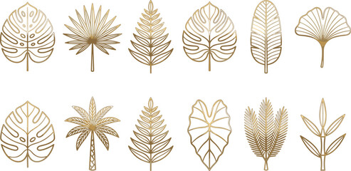 Golden tropical leaves vector element set featuring luxury metallic line art outlines of monstera palm fern ginkgo banana and caladium foliage © Md. Ashik Hossain