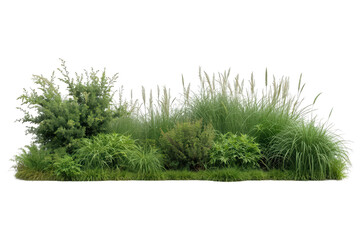 Fototapeta premium Garden bed with multiple types of green foliage, including bushes, tall grasses, and low-growing plants, creating a natural border