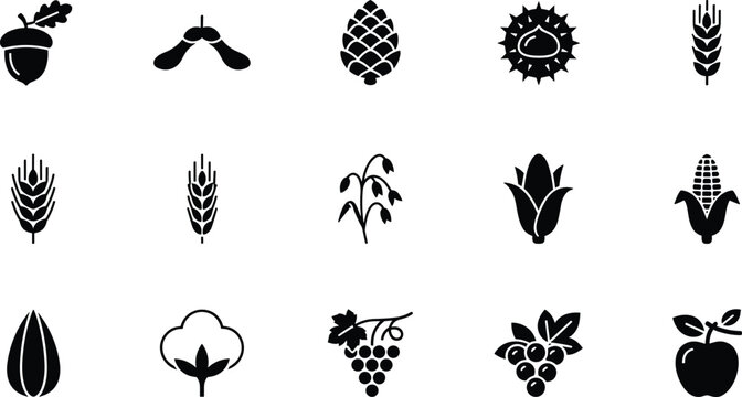 Set of black icons featuring various farm crops grains fruits and nuts for agriculture and healthy food design