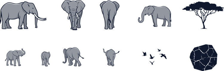 PrintAfrican elephant vector collection featuring adult and baby elephants in various views along with acacia tree safari birds and cracked ground texture elements © MST