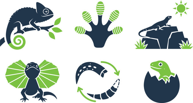Modern vector illustration set featuring various reptiles like chameleons and lizards with vibrant green accents on a clean white background