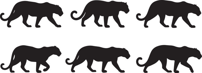 Walking cougar or panther big cat vector silhouette set, wild animals moving in different stances. © Sheplob