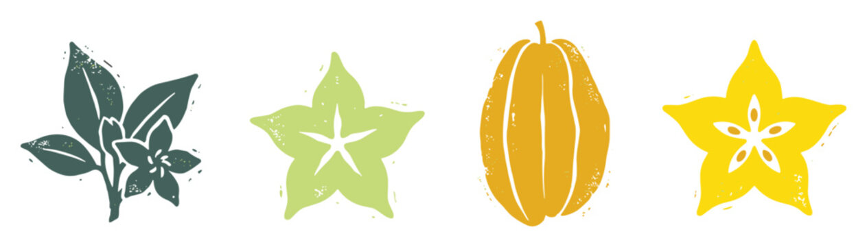 Starfruit vector set with green and yellow whole and sliced fruit illustrations, perfect for tropical food branding, menu design