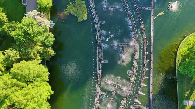 Aerial Top Down View of Decorative Water Fountain Patterns in Urban Lake