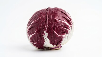 Fototapeta premium Single head of fresh purple radicchio lettuce on white background