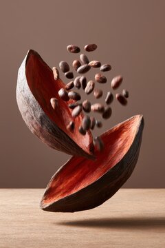 Opened cocoa pod with raw cocoa beans levitating in the air. Represents organic ingredients for chocolate.