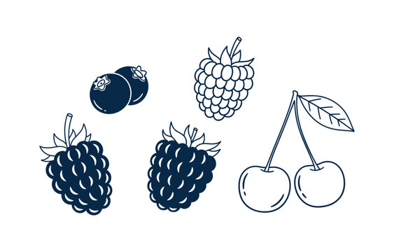 Set of hand drawn berry fruit line art and silhouettes including cherry raspberry and blackberry