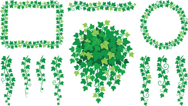 Green Ivy Leaves Frame Border and Round Wreath Set with Hanging Creeping Vine Foliage Bush Garlands for Botanical and Wedding Graphic Designs