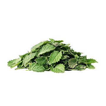 Dried catnip leaves heap, asset stock