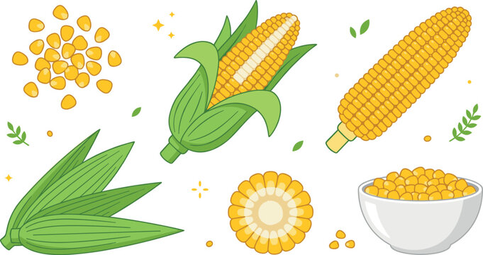 Fresh yellow corn vector icon set featuring whole sweetcorn cob husked ear loose kernels cut slice and grain bowl for organic agriculture design on white background