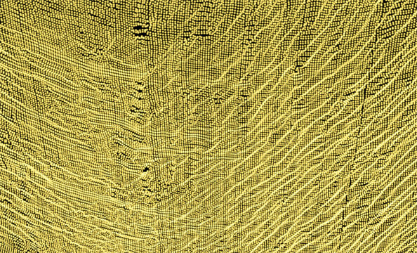 Golden textured surface. Glow and shine effect. Cover design template. 3D illustration for brochure, poster, cover, card, presentation, flyer or banner.