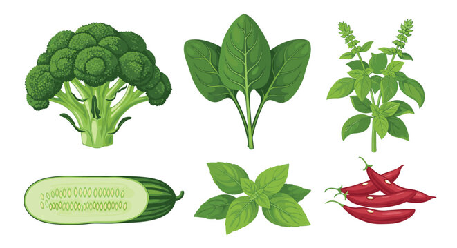 Selection of healthy green vegetables and fresh herbs including broccoli, spinach, basil leaves, cucumber, and red chilis.