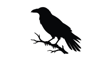 Fototapeta premium Raven Perched On Branch Black Silhouette crow