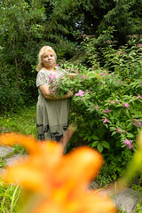 Serene senior woman looking at pink spiraea flower in the garden, cottagecore lifestyle profile portrait © Светлана Высокос