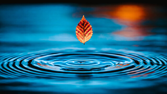 Feuille d'automne orange tombant sur l'eau bleu