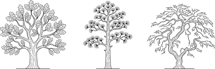 Set of diverse linear tree vector icons isolated on a clean white background © MDMizanur
