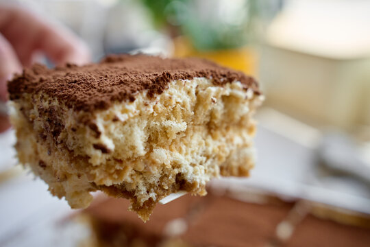 Tiramisu slice lifted on spatula from cocoa topped dessert, showing cream and sponge layers