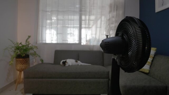 Electric fan cooling a living room during an extreme summer heat wave while a cat rests on the sofa.