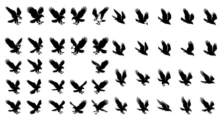 Fototapeta premium Wild Birds of Prey and Flying Eagles Silhouette Set, Professional Wildlife Falcon Hawk Condor Vulture and Hunting Raptor Vector Illustration