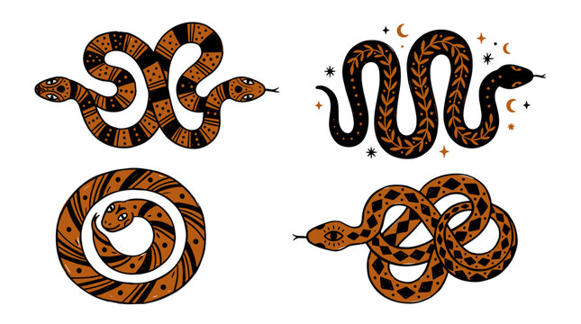 Set of four detailed illustrations of different types of snakes with various patterns and colors