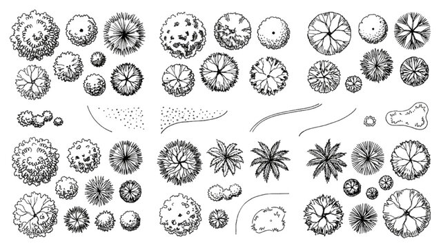 Top View Landscape Tree CAD Blocks and Plant Symbols Vector Sheet for Architectural Site Plans