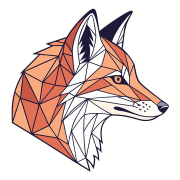 red fox vector illustration
