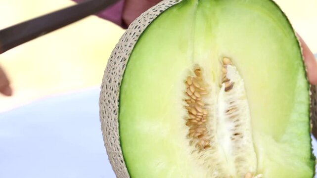 Melon slice fresh fruit hand touch farming harvesting agriculture food ingredient k fruit 멜론 과일 조각 신선 손 터치 농사 재배 수확 농업 한국 멜론 식재료 디저트 식품 메론 참외