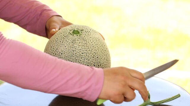Melon slice fresh fruit hand touch farming harvesting agriculture food ingredient k fruit 멜론 과일 조각 신선 손 터치 농사 재배 수확 농업 한국 멜론 식재료 디저트 식품 메론 참외