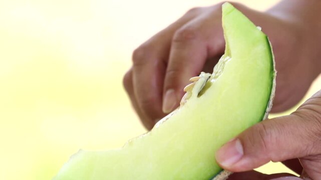 Melon slice fresh fruit hand touch farming harvesting agriculture food ingredient k fruit 멜론 과일 조각 신선 손 터치 농사 재배 수확 농업 한국 멜론 식재료 디저트 식품 메론 참외