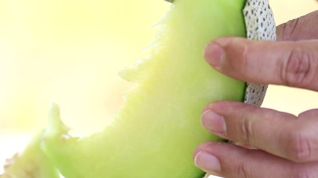 Melon slice fresh fruit hand touch farming harvesting agriculture food ingredient k fruit 멜론 과일 조각 신선 손 터치 농사 재배 수확 농업 한국 멜론 식재료 디저트 식품 메론 참외