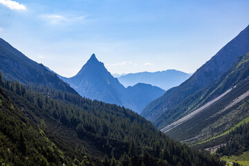 Fototapeta premium Mountain Valley Landscape with Dense Forest and Peaks, Italy, South Tyrol, Mittelber near Meran, 28 June 2026
