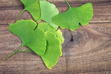 Ginkgo biloba leaves on a wooden table, top view © Oleksii